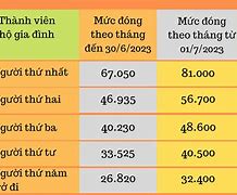 Biểu Minh Họa Mức Đóng Bhxh Tự Nguyện 2023