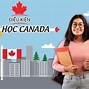 Du Học Nghề Canada 2022 Tại Mỹ Được Không